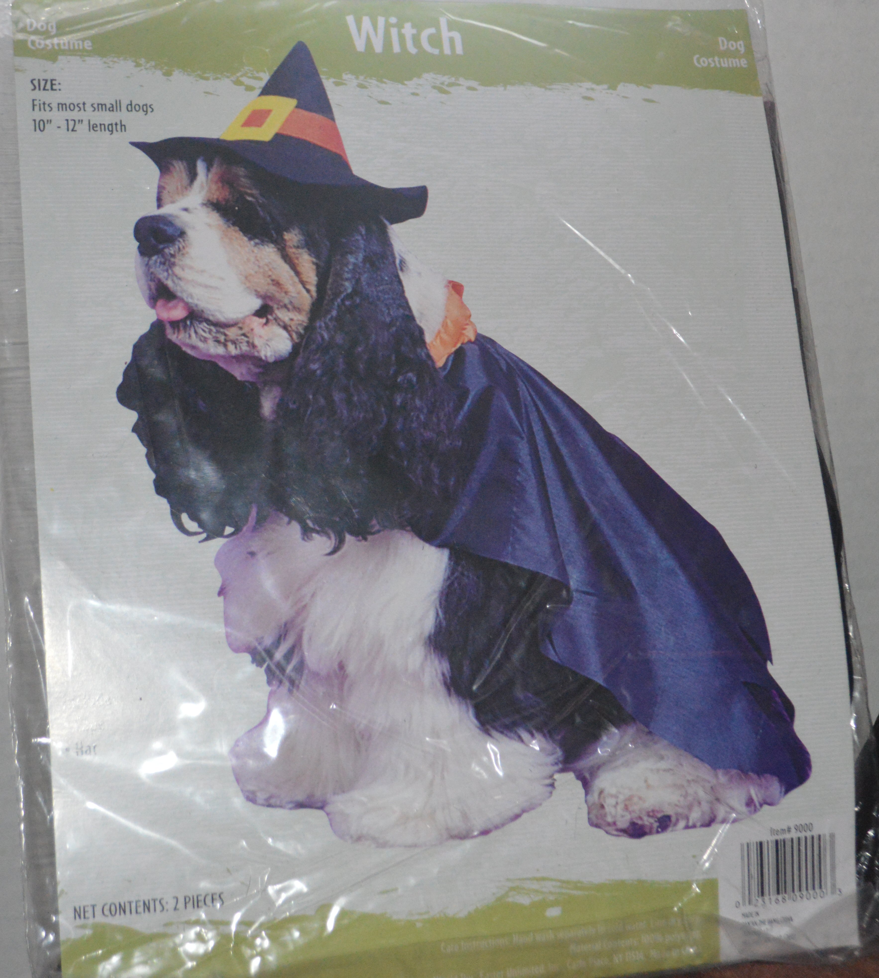 dog Witch costume